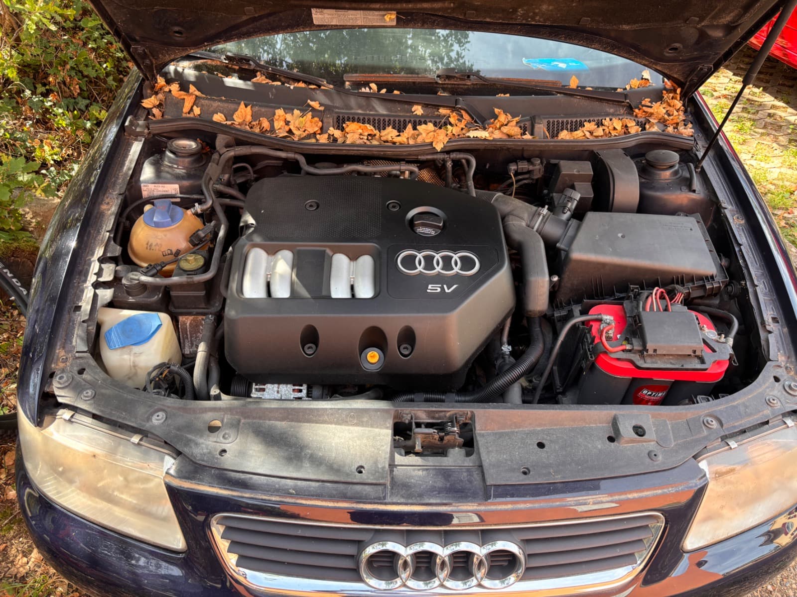 Audi A3 1.8 2001 245'000 km roulant véhicule pour export Vallorbe Suisse romande Drive ON SA — photo 3
